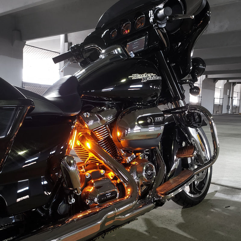DENALI CANsmart™ Controller for V-Twin - Harley-Davidson Street Glide, Road Glide, Sportster, Dyna, Softail, Touring, CVO & Trike – bilde 3